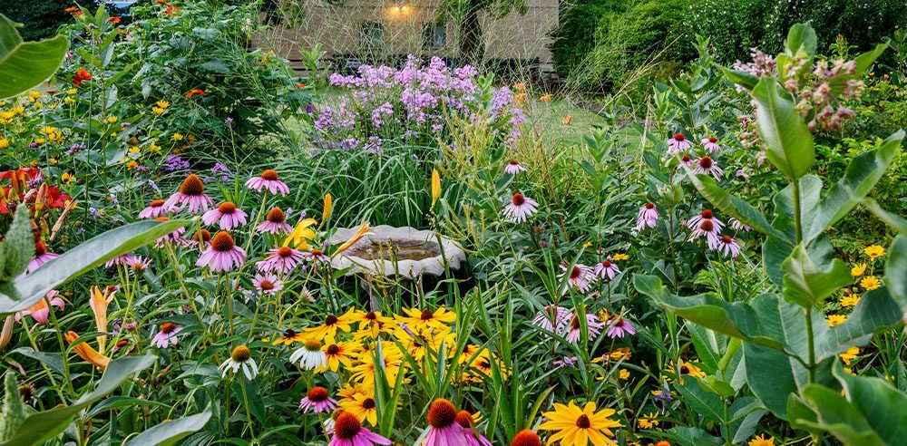 ontario gardens