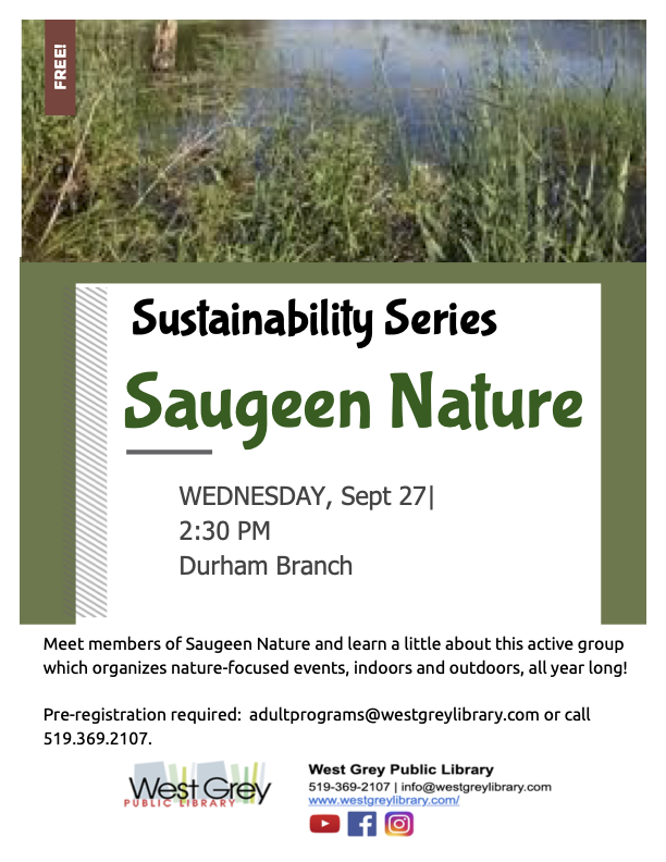 saugeen
