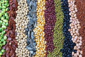 Seeds